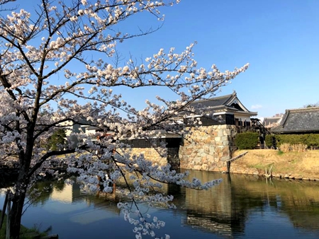 1587119623447074979.jpg QQ图片20200417181551.jpg